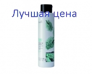 NOUVELLE Kapillixine Energy Care Shampoo - Шампунь против выпадения волос, 250 мл.