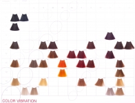 C:EHKO тонирующая краска для волос VIBRATION , 60 мл