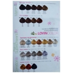 LOVIEN Крем-краска для волос Lovien Color, 100 мл.