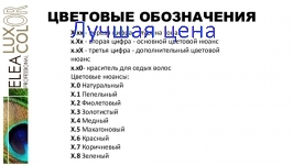 ELEA LUXOR Color Permanent Colour Cream - Стойкая краска для волос, 60 мл